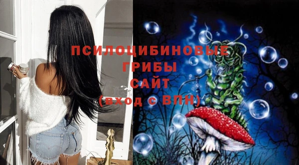 тгк Богородск