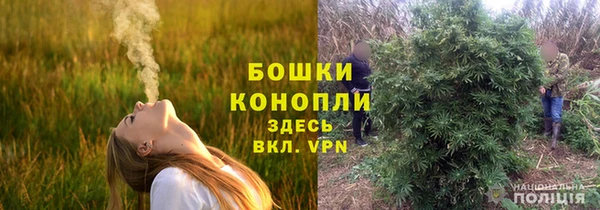 первитин Богданович